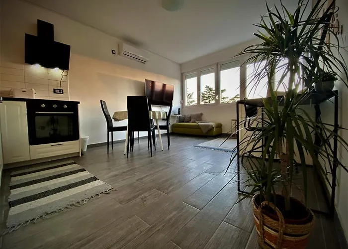 Centar Visnjik, Apartamento *
